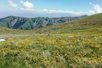 Планинарење на Пелистер